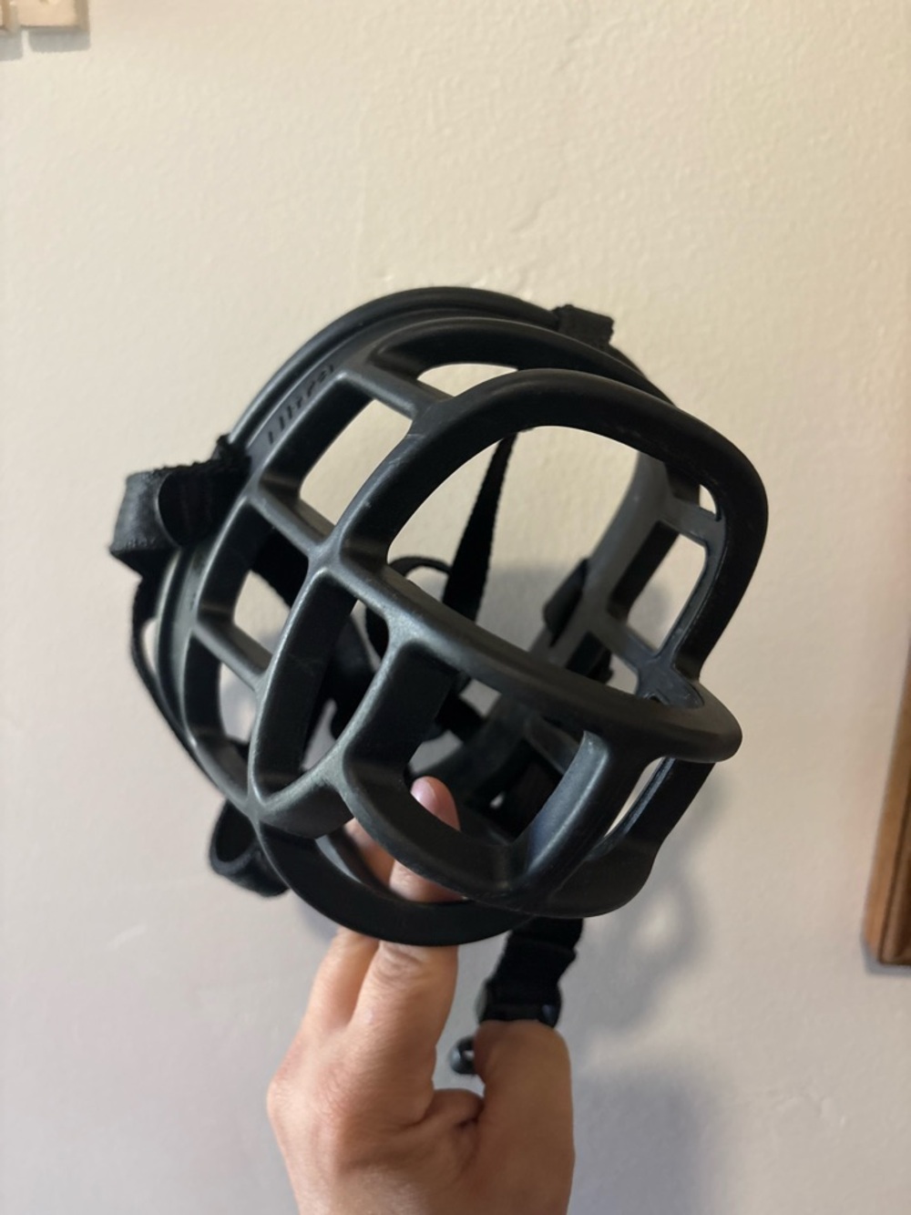 Black Dog Muzzle Lg/XL